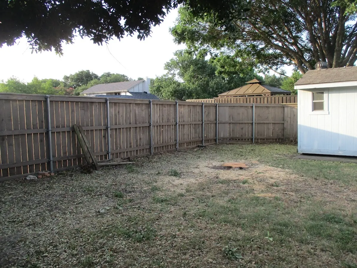 Cleared yard after professional tree removal in Medford